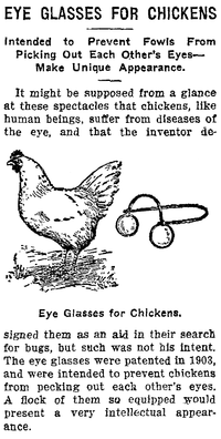 Newspaper Article